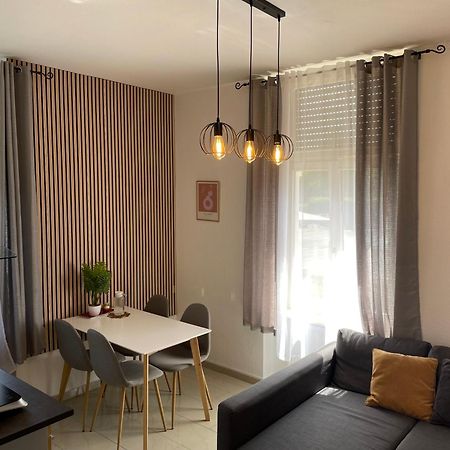 Schoenes Apartment Am Rhein - Zentral Κόμπλεντς Εξωτερικό φωτογραφία